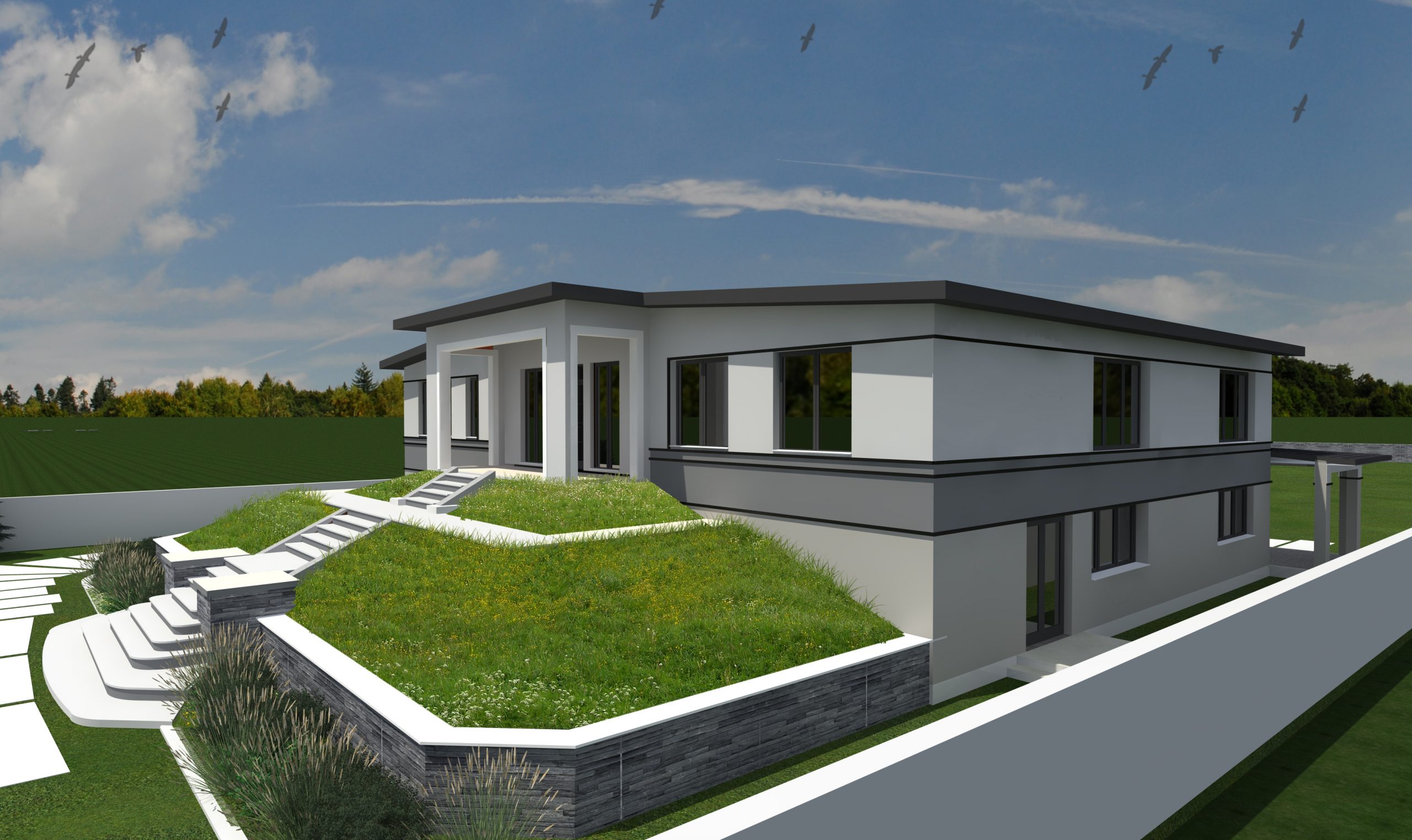 Proiect Arhitectura Casa P+1 Timisoara